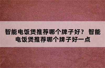 智能电饭煲推荐哪个牌子好？ 智能电饭煲推荐哪个牌子好一点